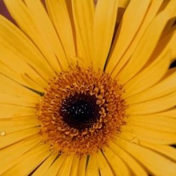 Madame lit son bilan de novembre