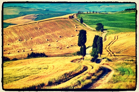 42728668 - classic tuscan winding road in summer landscape