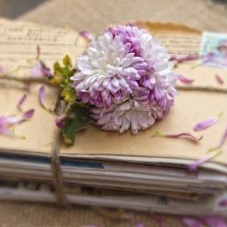 Madame lit ses suggestions de romans épistolaires