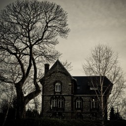 Madame lit ses suggestions de romans fantastiques