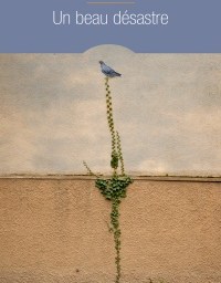 Madame lit Un beau désastre de Christine EDDIE