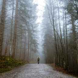 Madame lit une citation reliée à ses émotions