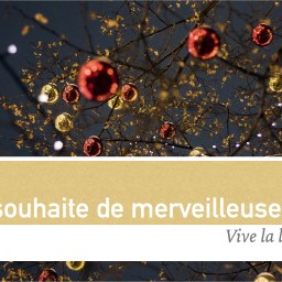 Madame lit des voeux