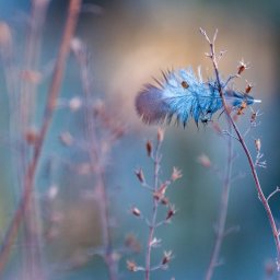 Madame lit «La vie»