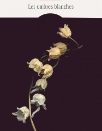 Madame lit Les ombres blanches de Dominique Fortier