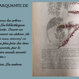 Madame lit sa citation marquante de mai