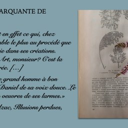 Madame lit sa citation marquante de juin