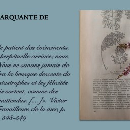 Madame lit sa citation marquante de juillet 2022