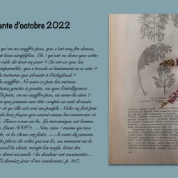 Madame lit sa citation marquante d&rsquo;octobre 2022
