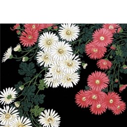 Madame lit Un bruit de balançoire de Christian Bobin