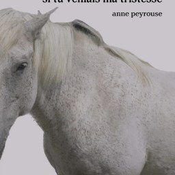 Madame lit Anne Hébert, si tu veillais ma tristesse d’Anne Peyrouse